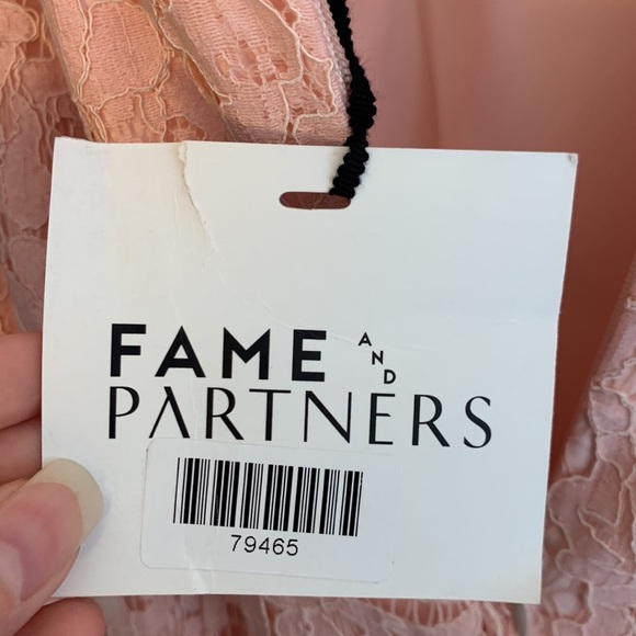 NEW Fame and Partners Charlotte lace dress 6 - Picture 12 of 15